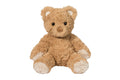 Arthur Teddy Bear | Medium