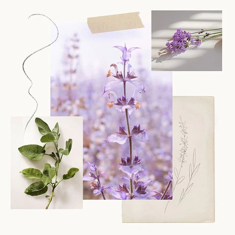 Lavender Home Fragrance Mist