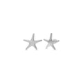 Star of the Show Stud Earrings | Silver