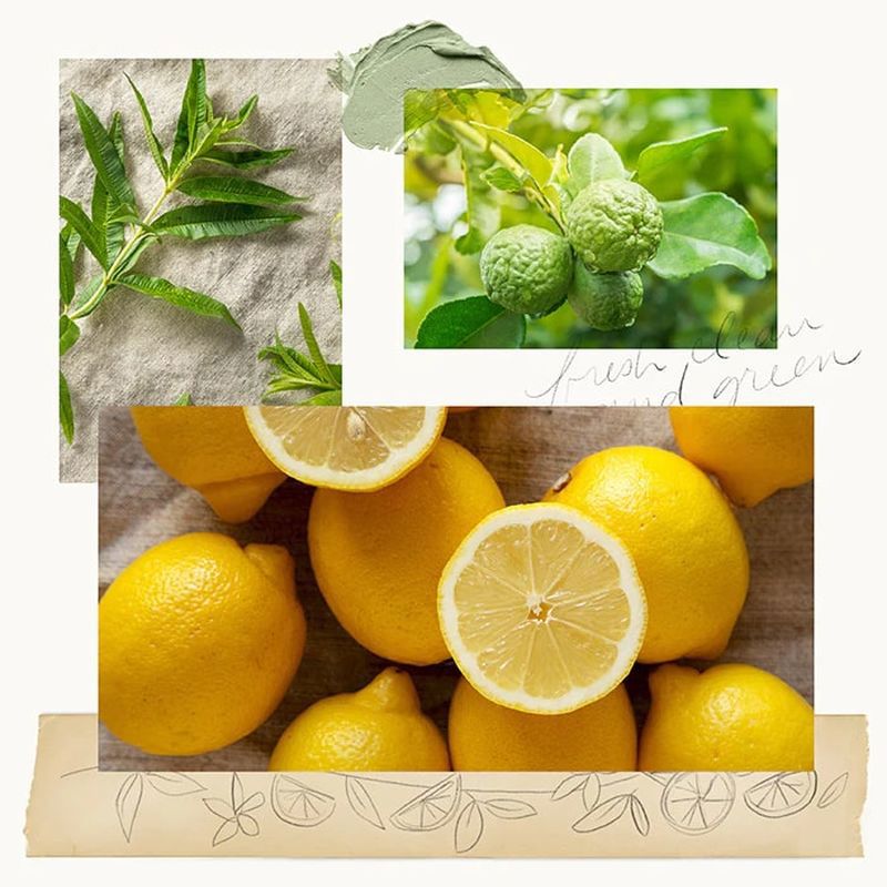 Lemon Leaf Hand Wash