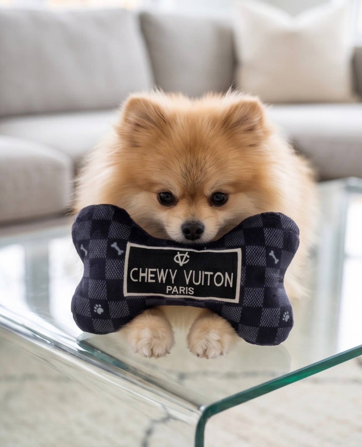 Black Checker Chewy Vuiton Bone  | Squeaker Dog Toy: Large