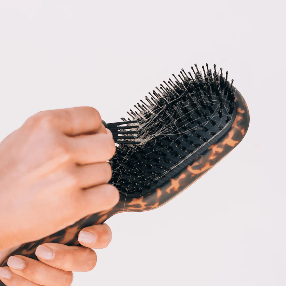 Boar Bristle Hair Brush | Tortoise