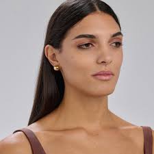PERFECT EARRINGS