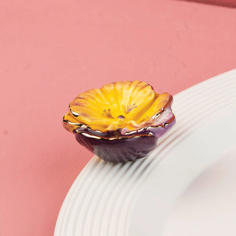 Pansy Pop Mini